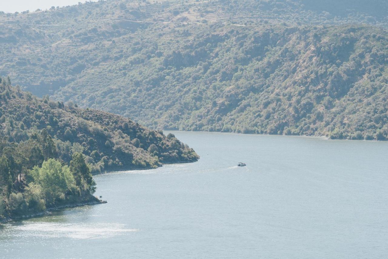 Casa Das Arribas - Rio Douro Aos Seus Pes Bemposta  Extérieur photo