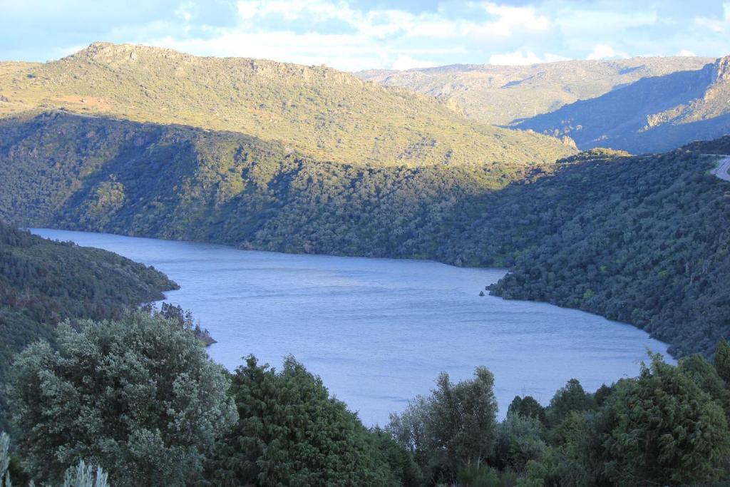 Casa Das Arribas - Rio Douro Aos Seus Pes Bemposta  Extérieur photo